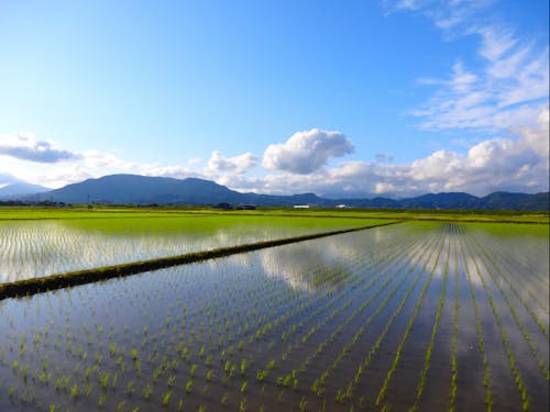 広大な平野と青空の絶景コントラスト 【写真提供:佐賀県観光連盟】