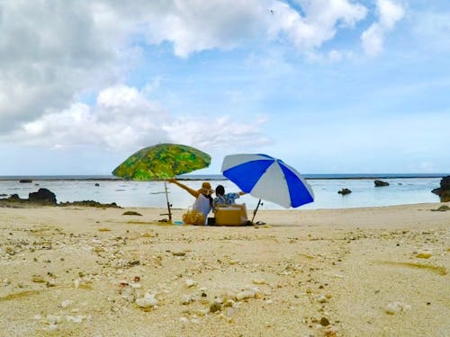 島で一緒に働きませんか?