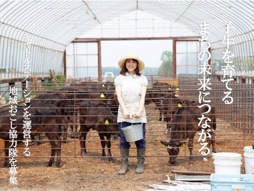 地域おこし協力隊長門和牛振興事業担当募集中