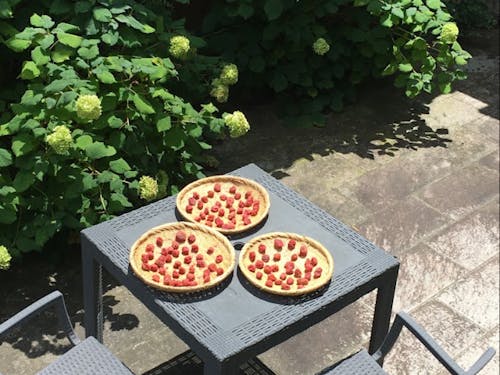 梅干しの天日干し