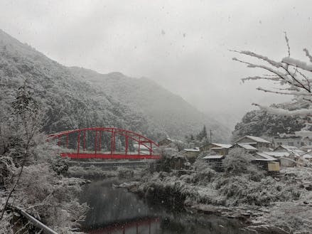 四国では珍しい雪景色が楽しめるかもしれません