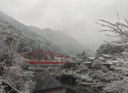四国では珍しい雪景色が楽しめるかもしれません