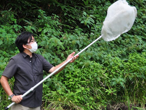 生態調査を行う能登学舎スタッフ