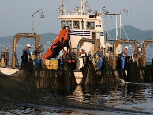 定置網漁(氷見市)