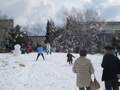 昨年の雪遊びの様子