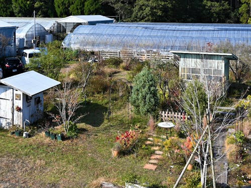 ハウス前に作られた庭。たくさんの人に楽しんでほしいと信英さんは話す。