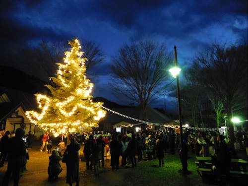 過疎地域に新たな魅力をつくる(伊那谷体感ツアーディレクター)