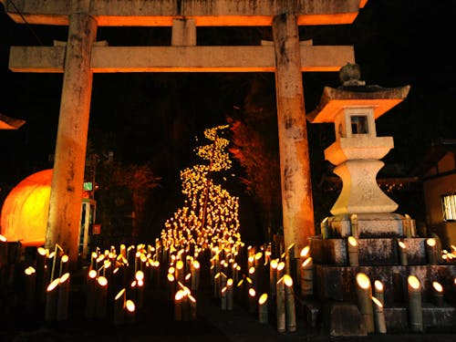 約2万本の竹灯籠を灯し、幻想的な世界が広がる竹田市最大の竹楽