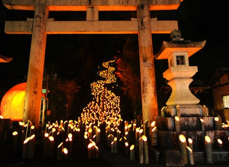 約２万本の竹灯籠を灯し、幻想的な世界が広がる竹田市最大の竹楽