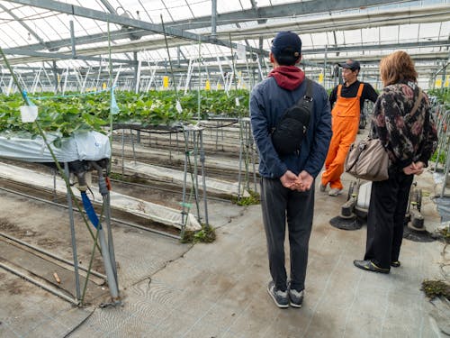 農業ツアーの様子②