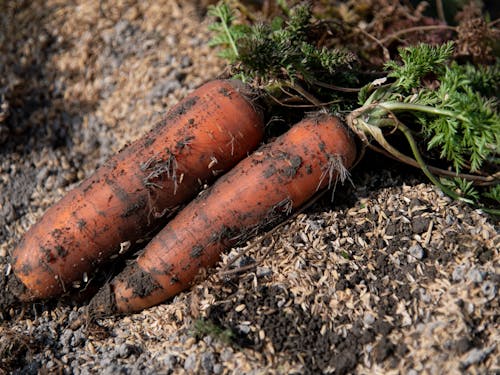 多可町の農園②