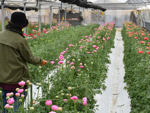 産業にデジタルを導入すれば生産性の向上に