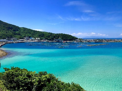 途中の道路から見える柏島の姿