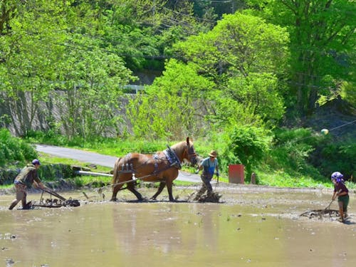 この地だからできる取り組みもさかん