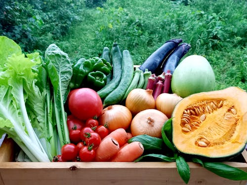 小林市内で生産された新鮮で安心・安全な農産物