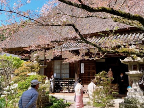 1949年から続く岡山四大茶会の一つ"良寛茶会"