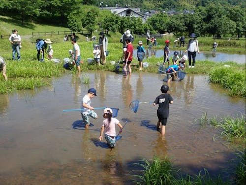 ビオトープの生き物調査