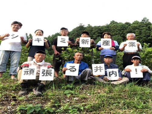 井内地区では特産のシキミを利用した産品開発が行われています。