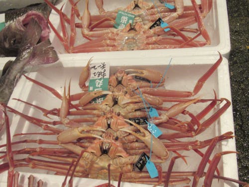 冬の味覚、カニを楽しむ