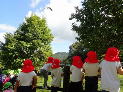 次代を担う子どもたちに豊岡の自然や文化の魅力を伝えましょう!