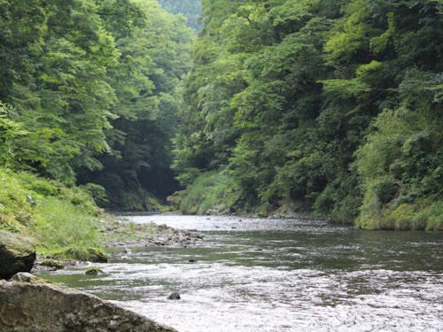 「東京最後の清流」とも呼ばれる秋川は、檜原村民の憩いの場です