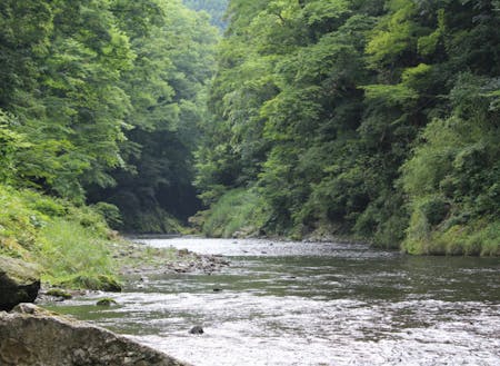 「東京最後の清流」とも呼ばれる秋川は、檜原村民の憩いの場です