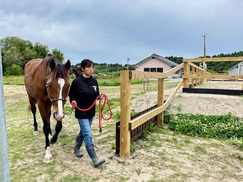 派遣先例:未だ断水の続くなか、引退競走馬支援を行う牧場