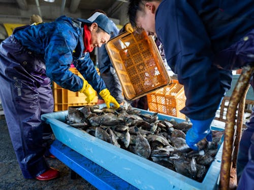 東通村の漁業の様子