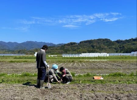 移住者コミュニティの一環で「農園部」が畑を運営。収穫体験も可能◎(時季による)