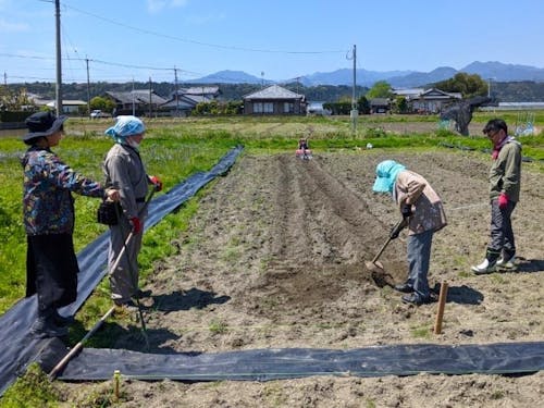 おとなりさんに鍬の使い方を伝授されたり。
