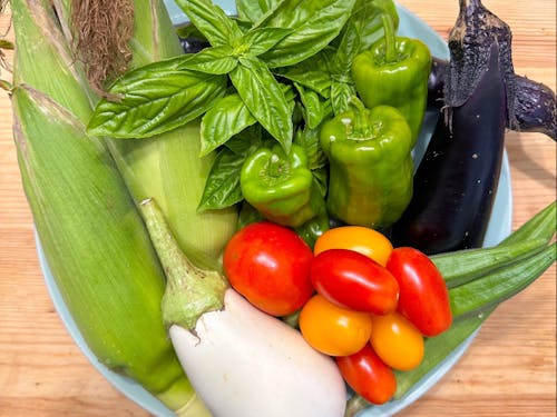 毎日のように獲れたお野菜たち。