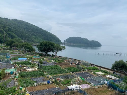 びわ湖の有人島・沖島の風景