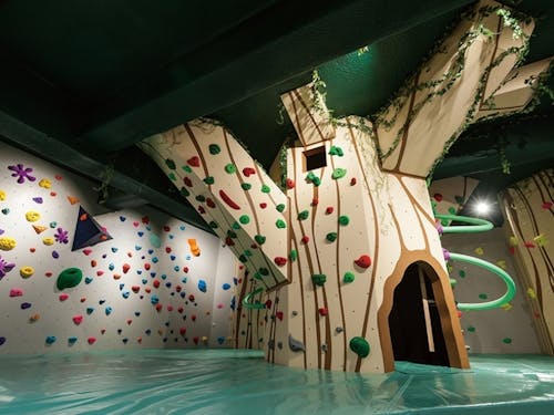 アラパ内 「アラパの森」