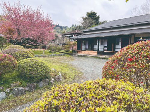 草木染や竹飯盒など、アクティビティが充実の古民家やえか(要予約)