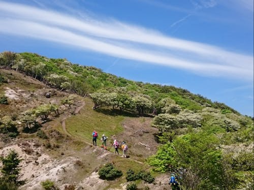 トレイルコースはよりどりみどり
