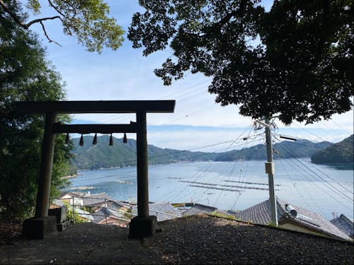 ちょっと散歩で非日常