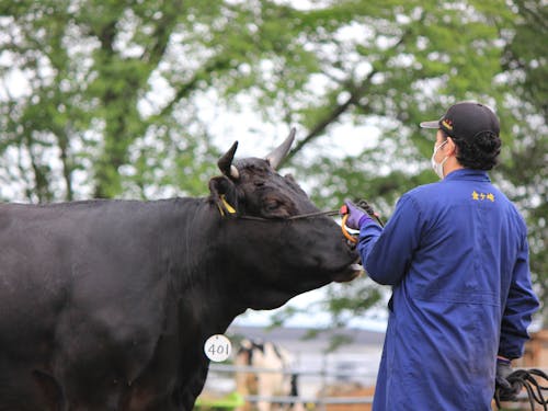 ブランド牛もあり、畜産も盛ん