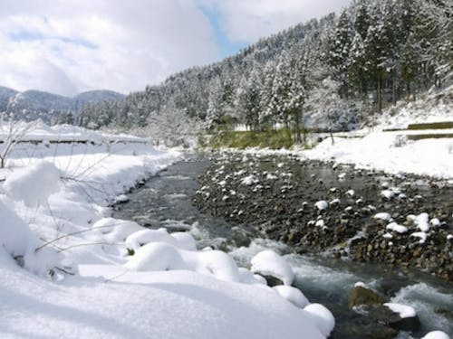 雪は大変なイメージもありますが、雪景色はとってもきれいです！