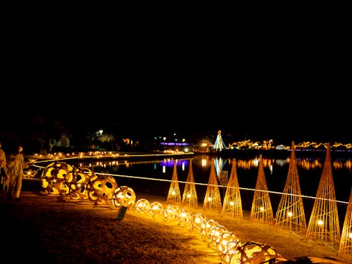 冬は公園のイルミネーションがキレイです!