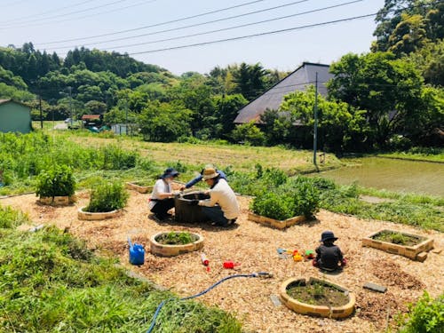 ハーブ園をみんなで少しずつ作っています