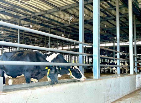 東海エリア最大規模の牧場で酪農体験インターン