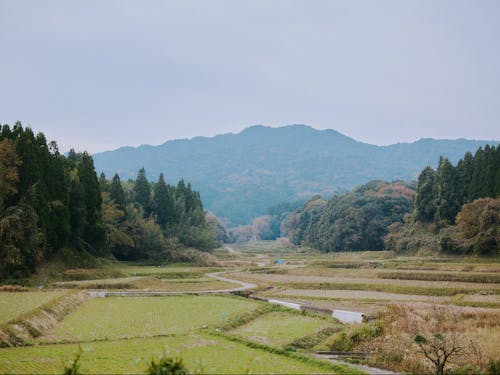 四ツ原地区(南関町)