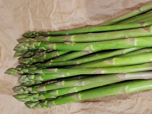 佐々木さんが作ったアスパラガス