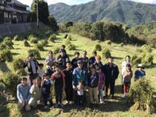 そば刈りイベントの様子