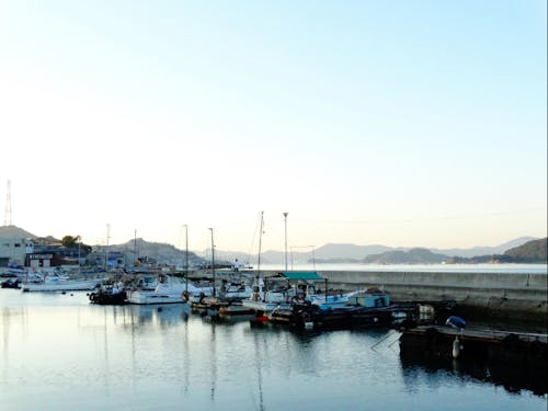 直島のカフェから望める風景