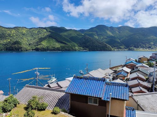 路地を登った先にひょっこり現れるお家。縁側からの景色が最高。