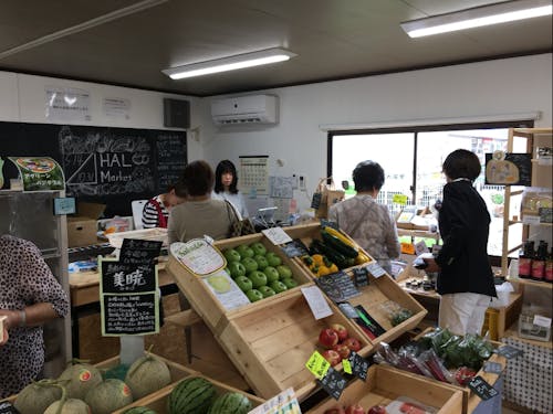 地元農家と立ち上げた会社で運営する八百屋「HALMaket」