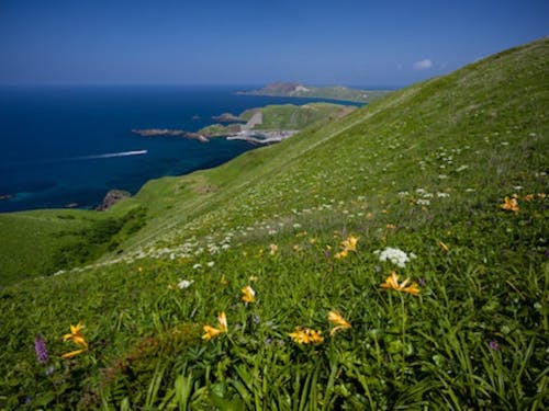 トレッキングコースからの景色