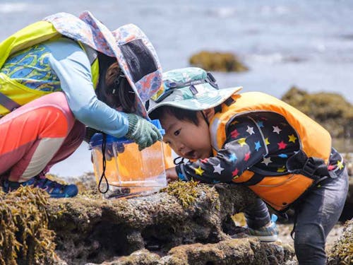 初めて見る生き物に興奮!