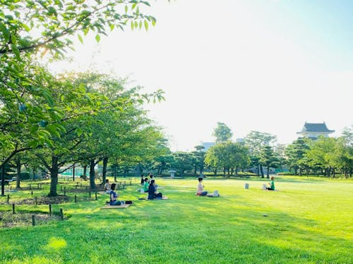 玉藻公園での朝ヨガ
